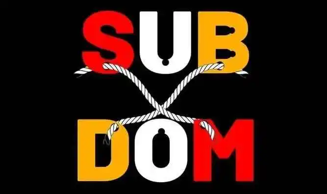 西檬之家-字母圈的DOM是什么意思？