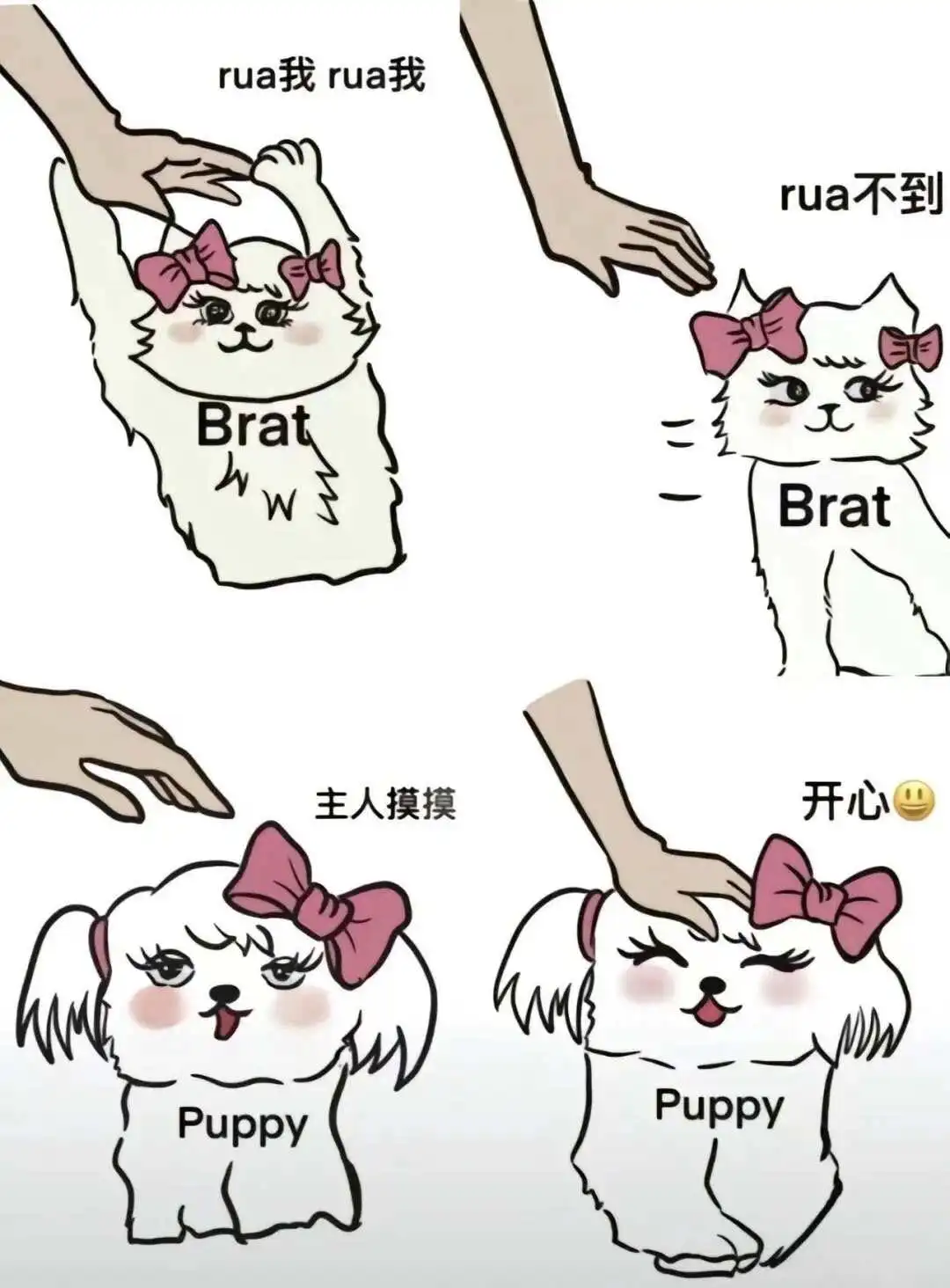 SM亚文化 - 2023_12_05_21_27_IMG_9364