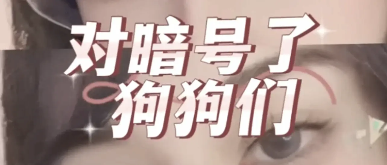 西檬之家-k8猫系是什么？您的字母圈属性解析