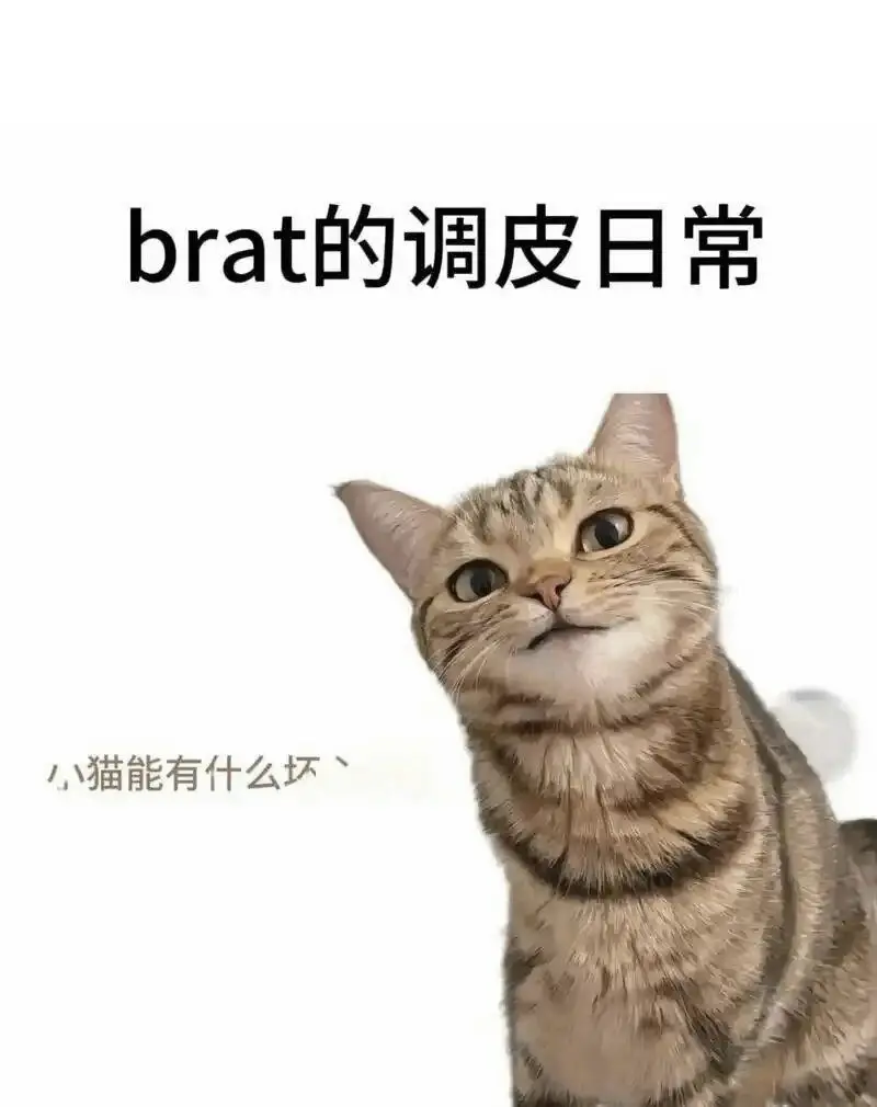 【西檬之家】BDSM新手入门：SP与字母圈核心术语全解析