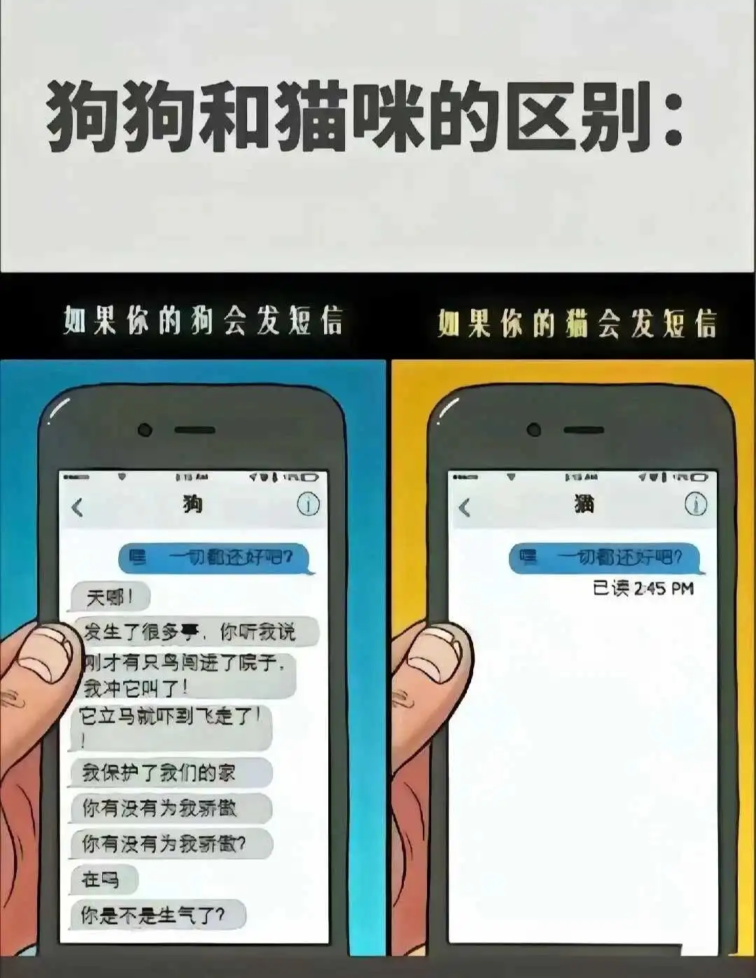 西檬之家-字母圈Sub是什么？理解支配与臣服关系的全新视角