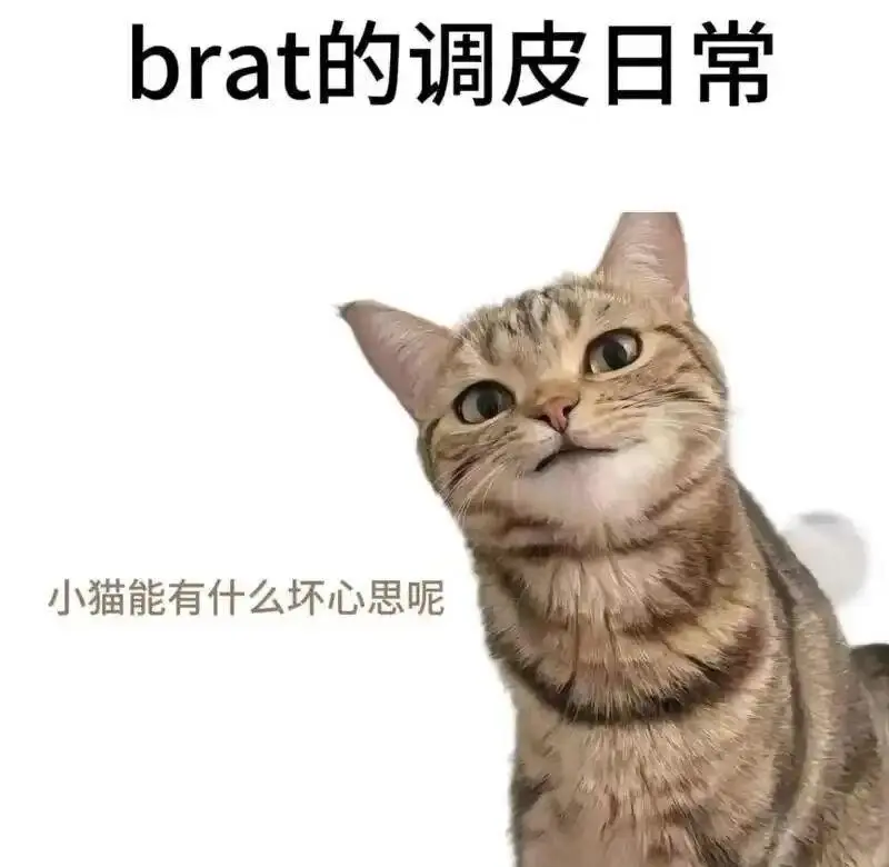 西檬之家-Sub是什么？BDSM字母圈新人入圈指南
