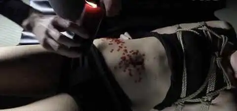 西檬之家-BDSM入门：新手必须掌握的术语与核心原则
