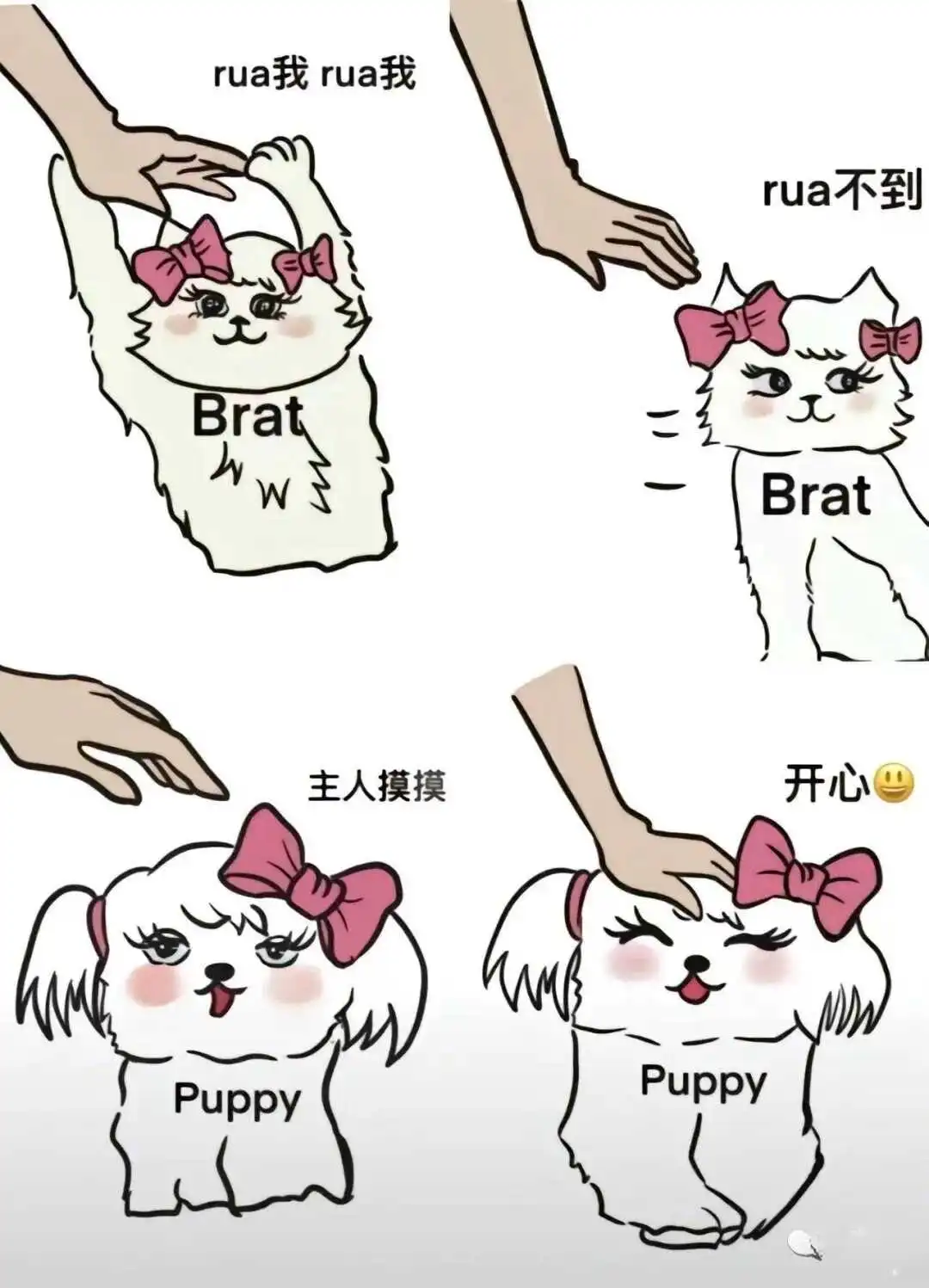 k9犬系 - 2023_12_05_21_27_IMG_9363