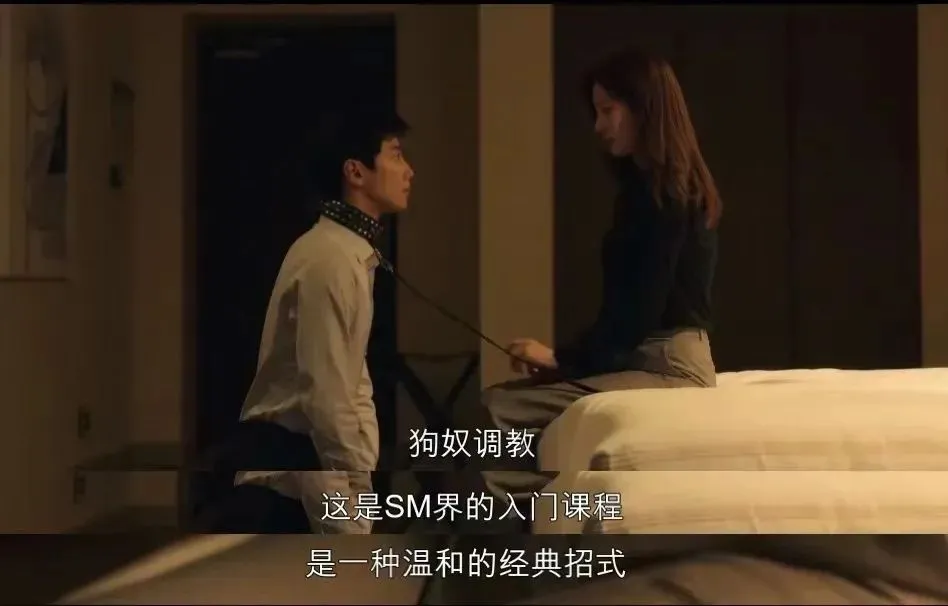 西檬之家-字母圈新人入圈：SSC原则与核心术语全解析