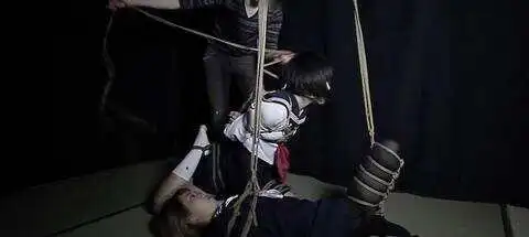 【西檬之家】-字母圈K9是什么？一个新人指南