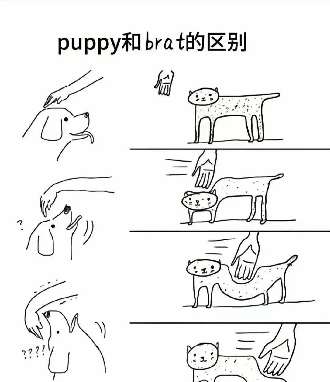 【西檬之家】字母圈新人入圈指南：从SSC原则到核心术语解析